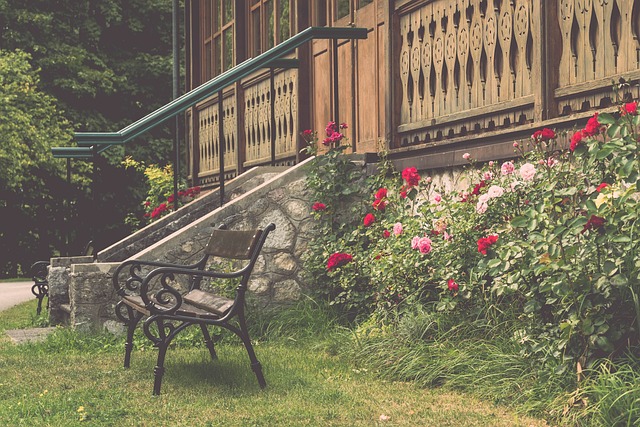 激烈的体育 激烈的体育